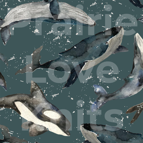R51 Preorder : Grunge Whales - by the 1/2 metre (8218687045870) (8470514368750)