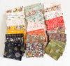 Dawn on The Prairie - Fat Quarter Bundle - Fancy That Design House (8103922827502)