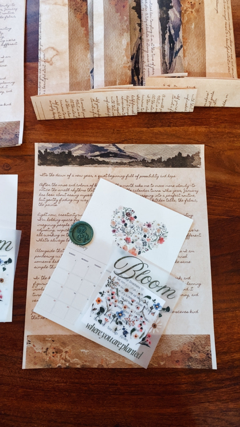 The Letterbox Project | July - December 2026