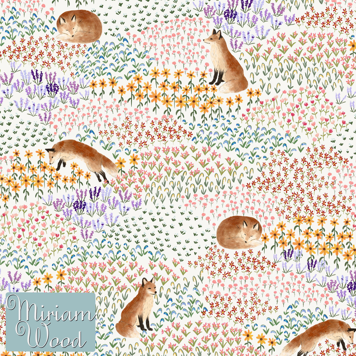 Fox in the Meadows