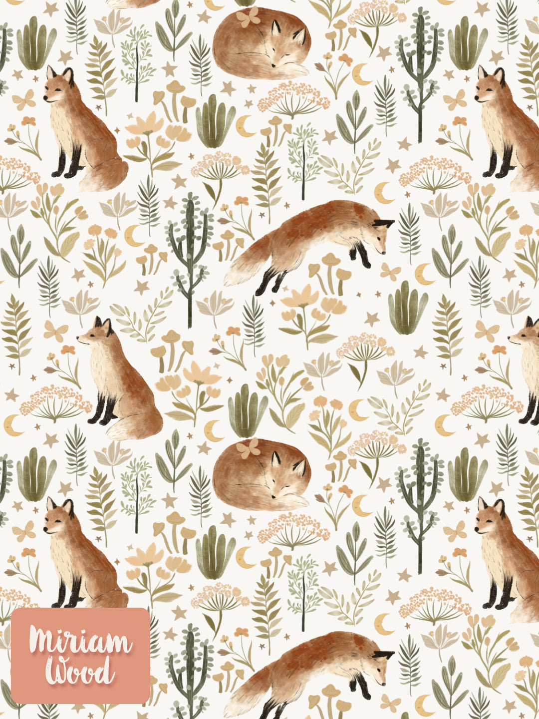 Fox in the Plains