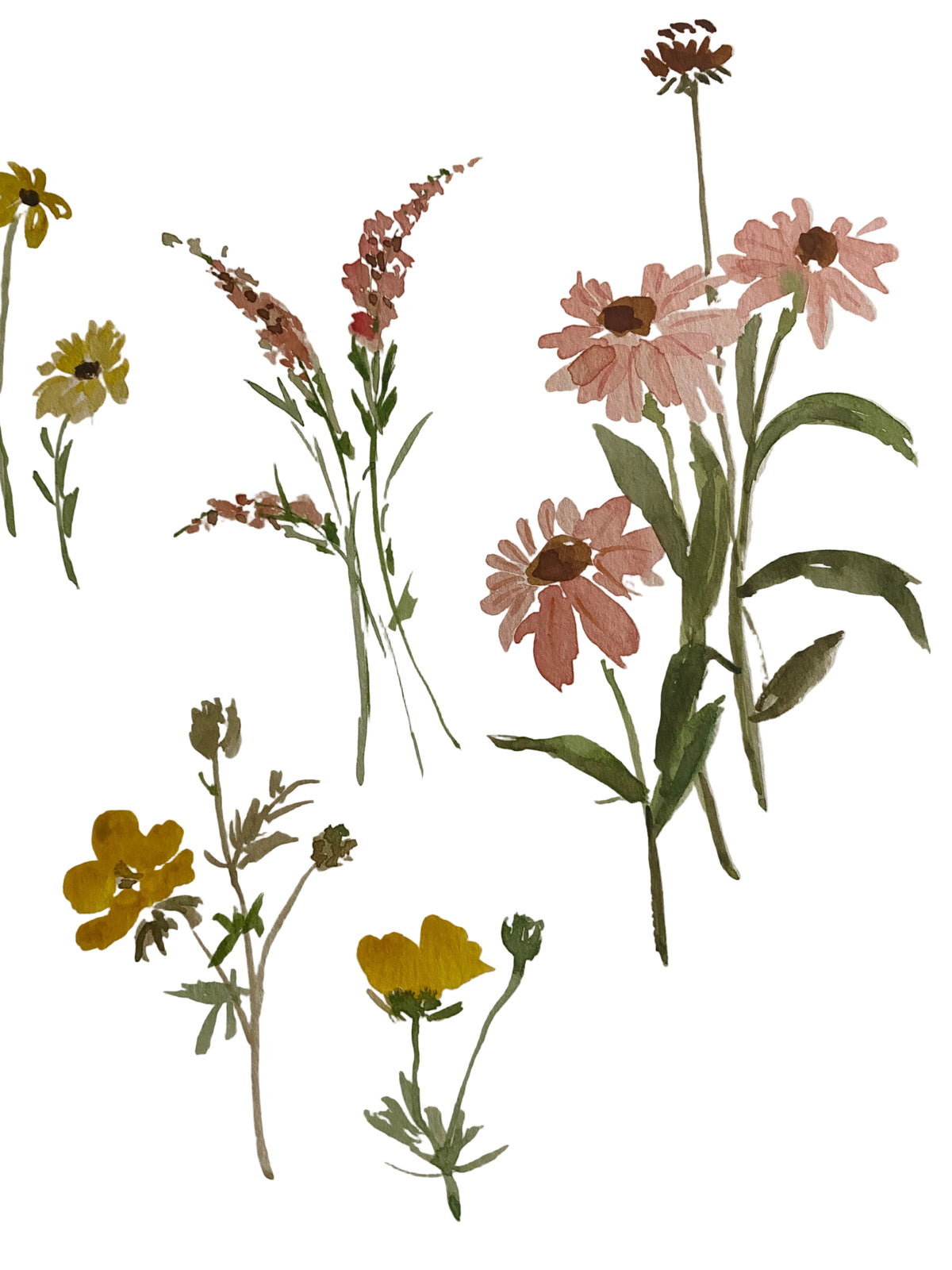Paint to Pattern: 4 week workshop