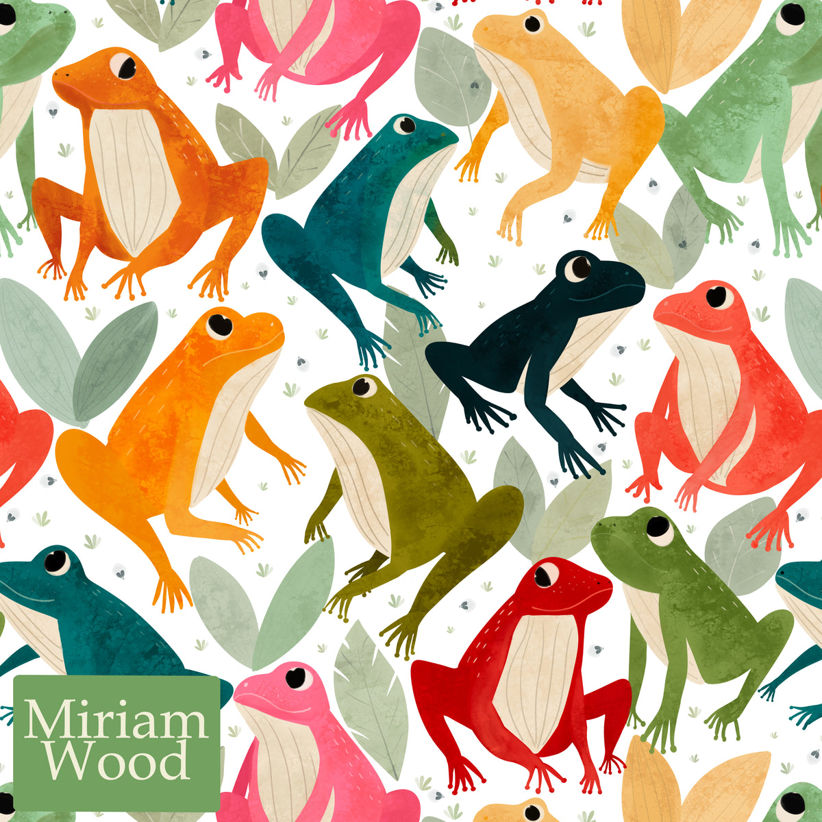 Tropical Frogs