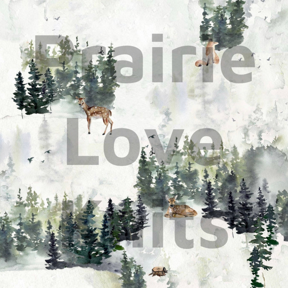 Foggy Forest (Wholesale)