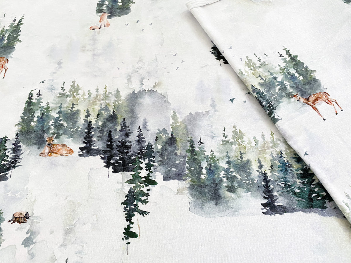 Foggy Forest