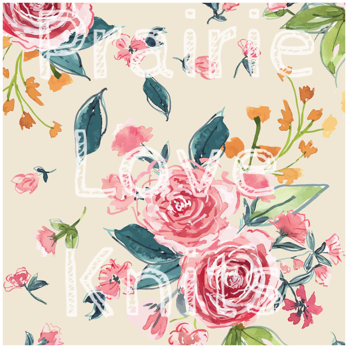 Spring Beauty (Wholesale)