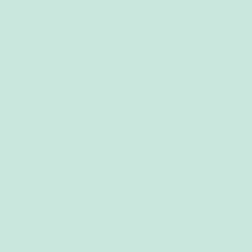 AGF Pure Solids, Icy Mint -  by the 1/4 METER (7932962963694)