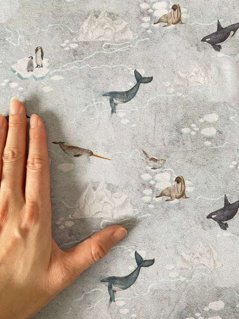 Arctic Animals, per 1/2 meter, Digital Jersey, European knits (7993474220270)