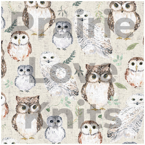 R27 CHRISTMAS & MORE PREORDER - Whimsical Owls - by the 1/2 metre (4587967086652) (7588049912046)