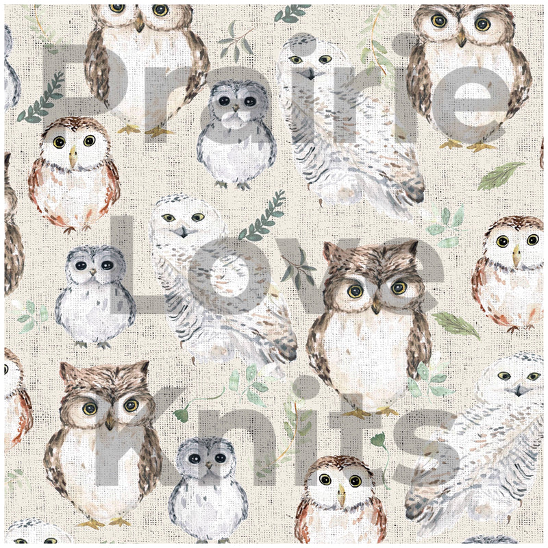 R27 CHRISTMAS & MORE PREORDER - Whimsical Owls - by the 1/2 metre (4587967086652) (7588049912046)