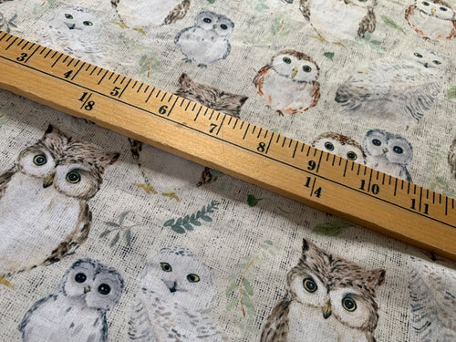 R27 CHRISTMAS & MORE PREORDER - Whimsical Owls - by the 1/2 metre (4587967086652) (7588049912046)